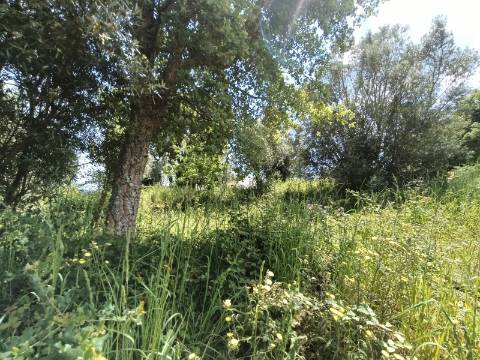 Terreno para Construção - Viana do Castelo