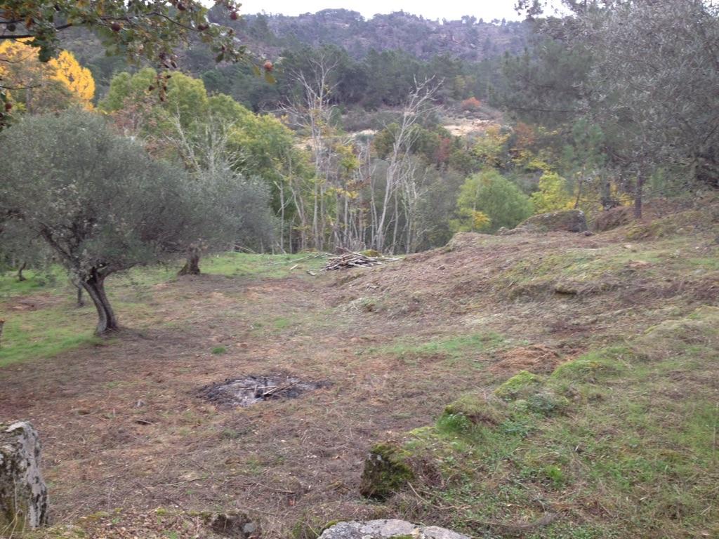 Ruína com 14.500 m² de Terreno - Cachão, Possacos, Valpaços