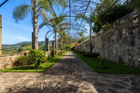 Quinta de Charme no Coração do Minho - Calheiros, Ponte de Lima