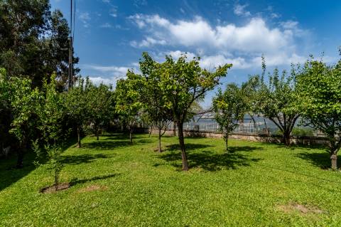 Quinta de Charme no Coração do Minho - Calheiros, Ponte de Lima
