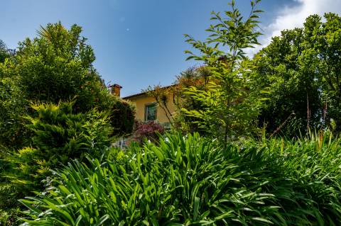 Quinta de Charme no Coração do Minho - Calheiros, Ponte de Lima