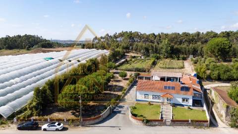 Fantástica Moradia T3 de arquitetura tradicional, num lote de 15.560m2