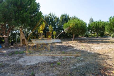 Fantástica Moradia T3 de arquitetura tradicional, num lote de 15.560m2