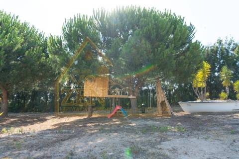 Fantástica Moradia T3 de arquitetura tradicional, num lote de 15.560m2