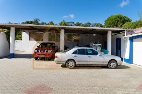 Fantástica Moradia T3 de arquitetura tradicional, num lote de 15.560m2