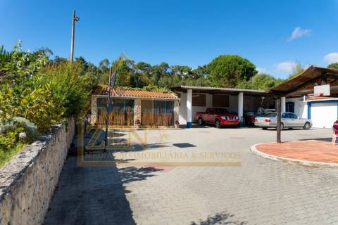 Fantástica Moradia T3 de arquitetura tradicional, num lote de 15.560m2