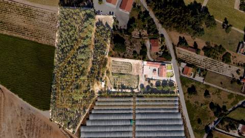 Fantástica Moradia T3 de arquitetura tradicional, num lote de 15.560m2