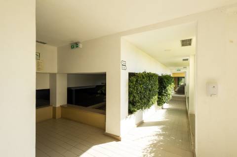 Apartamento T4 Duplex na Quinta de São Sebastião