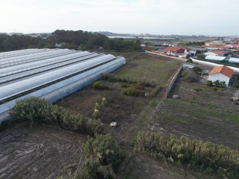 Terreno com projeto aprovado para loteamento de 8 moradias isoladas - Silveira