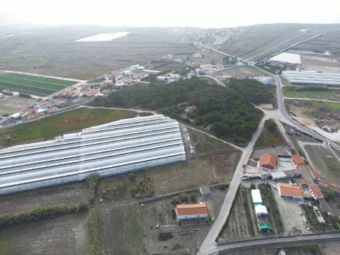 Terreno com projeto aprovado para loteamento de 8 moradias isoladas - Silveira