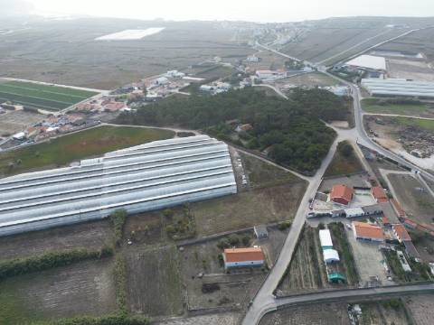 Terreno com projeto aprovado para loteamento de 8 moradias isoladas - Silveira