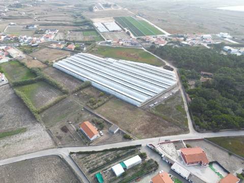 Terreno com projeto aprovado para loteamento de 8 moradias isoladas - Silveira