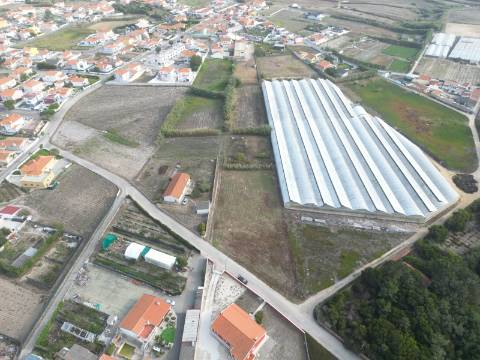 Terreno com projeto aprovado para loteamento de 8 moradias isoladas - Silveira