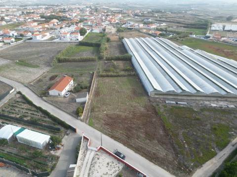 Terreno com projeto aprovado para loteamento de 8 moradias isoladas - Silveira