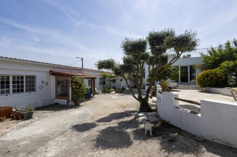 Belíssima Quinta na Ericeira inserida numa zona calma