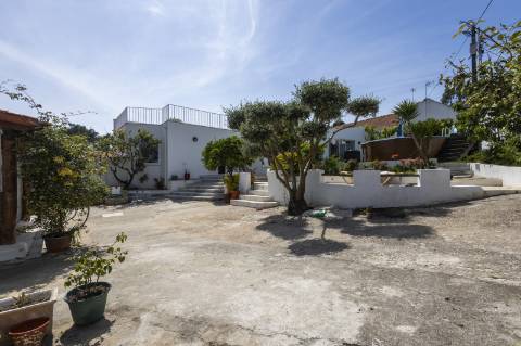 Belíssima Quinta na Ericeira inserida numa zona calma