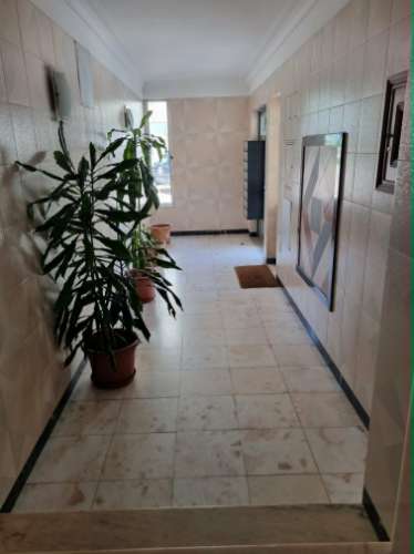 Apartamento T2 na Terplana - Parede