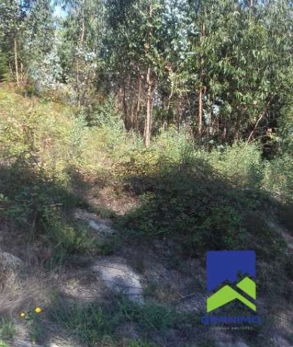 Terreno Construção