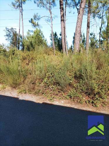 Terreno de Construção