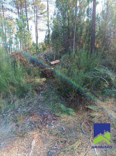 Terreno de Construção