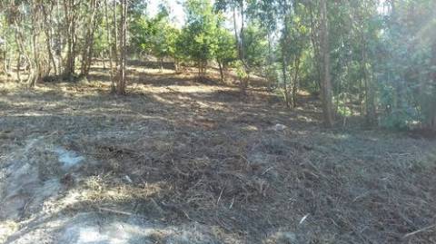 Terreno para Construção