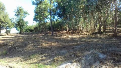 Terreno para Construção