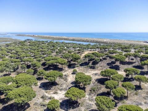QUINTA DAS SALINAS - PENTHOUSE T1+2 em Vale do Garrão