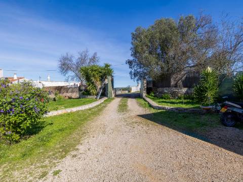 SANTA BÁRBARA DE NEXE - Charmosa moradia de campo