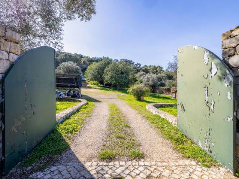 SANTA BÁRBARA DE NEXE - Charmosa moradia de campo