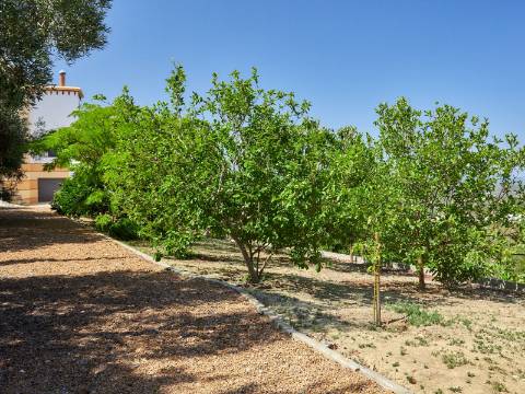 LOULÉ - Moradia de luxo com 4+1 quartos + Escritório, jardins, piscina aquecida e garagem