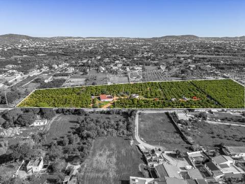 QUARTEIRA - Terreno para construção