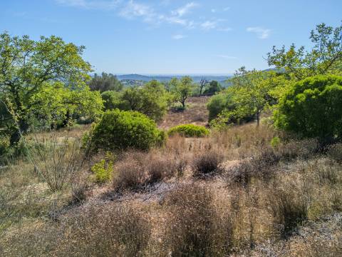 LOULÉ - Terreno Rústico com 3 Furos Licenciados e Vista Mar Desafogada