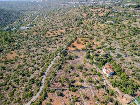 LOULÉ - Terreno Rústico com 3 Furos Licenciados e Vista Mar Desafogada
