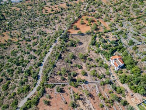 LOULÉ - Terreno Rústico com 3 Furos Licenciados e Vista Mar Desafogada