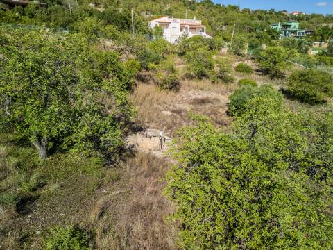 LOULÉ - Terreno Rústico com 3 Furos Licenciados e Vista Mar Desafogada