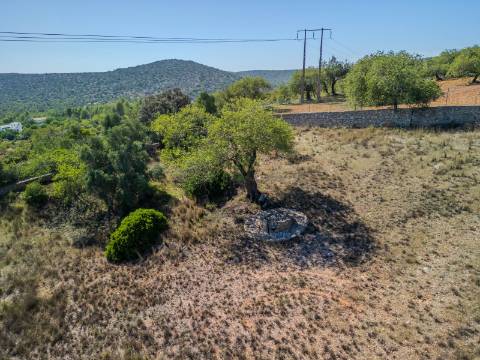 LOULÉ - Terreno Rústico com 3 Furos Licenciados e Vista Mar Desafogada