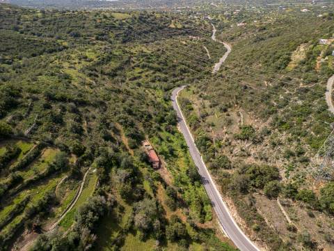 ESTOI - Terreno com vista mar e ruína