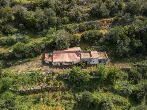 ESTOI - Terreno com vista mar e ruína