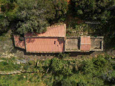 ESTOI - Terreno com vista mar e ruína