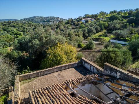 Terreno com 3 Ruínas em Propriedade com grande Potencial, Próximo de Boliqueime
