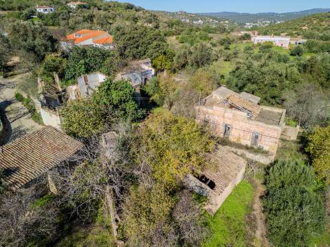 Terreno com 3 Ruínas em Propriedade com grande Potencial, Próximo de Boliqueime
