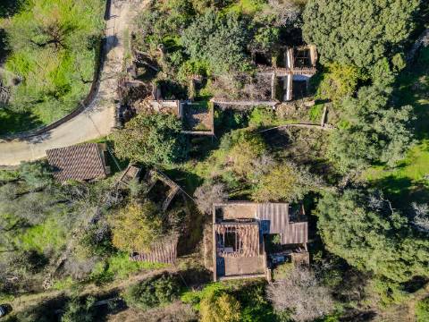 Terreno com 3 Ruínas em Propriedade com grande Potencial, Próximo de Boliqueime