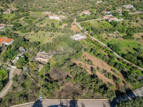 Terreno com 3 Ruínas em Propriedade com grande Potencial, Próximo de Boliqueime