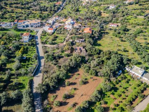Terreno com 3 Ruínas em Propriedade com grande Potencial, Próximo de Boliqueime