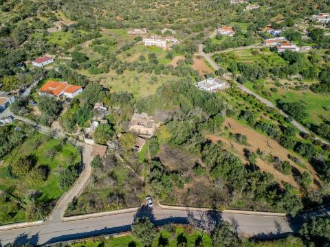 Terreno com 3 Ruínas em Propriedade com grande Potencial, Próximo de Boliqueime