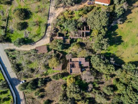 Terreno com 3 Ruínas em Propriedade com grande Potencial, Próximo de Boliqueime