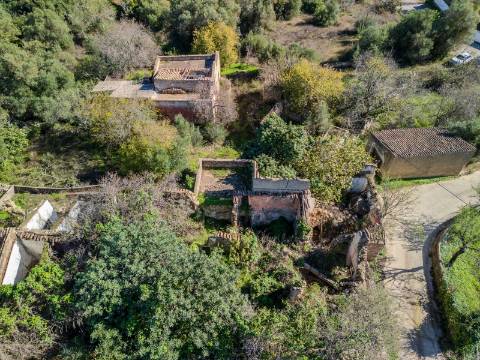 Terreno com 3 Ruínas em Propriedade com grande Potencial, Próximo de Boliqueime