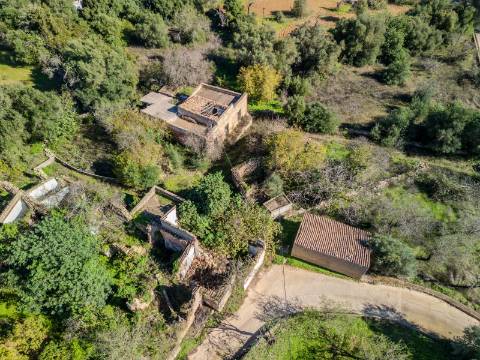 Terreno com 3 Ruínas em Propriedade com grande Potencial, Próximo de Boliqueime