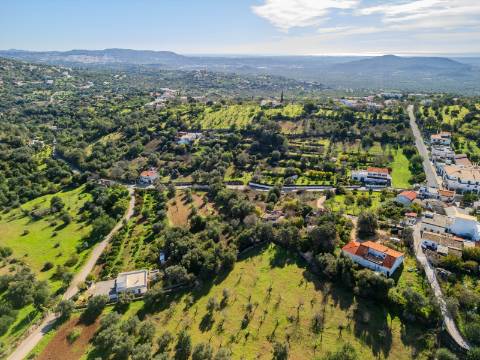 Terreno com 3 Ruínas em Propriedade com grande Potencial, Próximo de Boliqueime