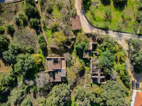 Terreno com 3 Ruínas em Propriedade com grande Potencial, Próximo de Boliqueime